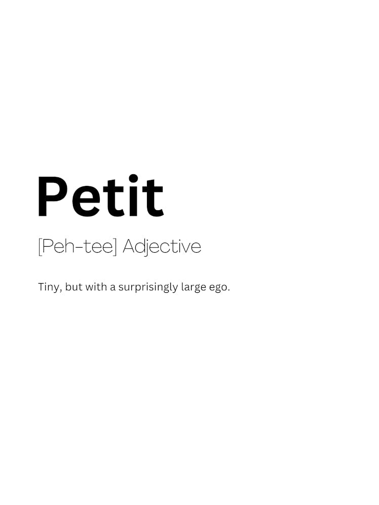 Petit Definition Meaning