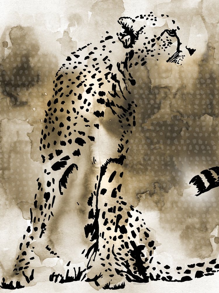 Cheetah