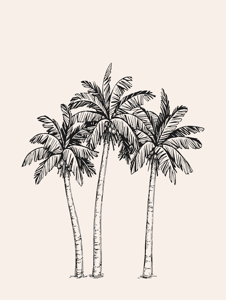 Neutral Palm Trees