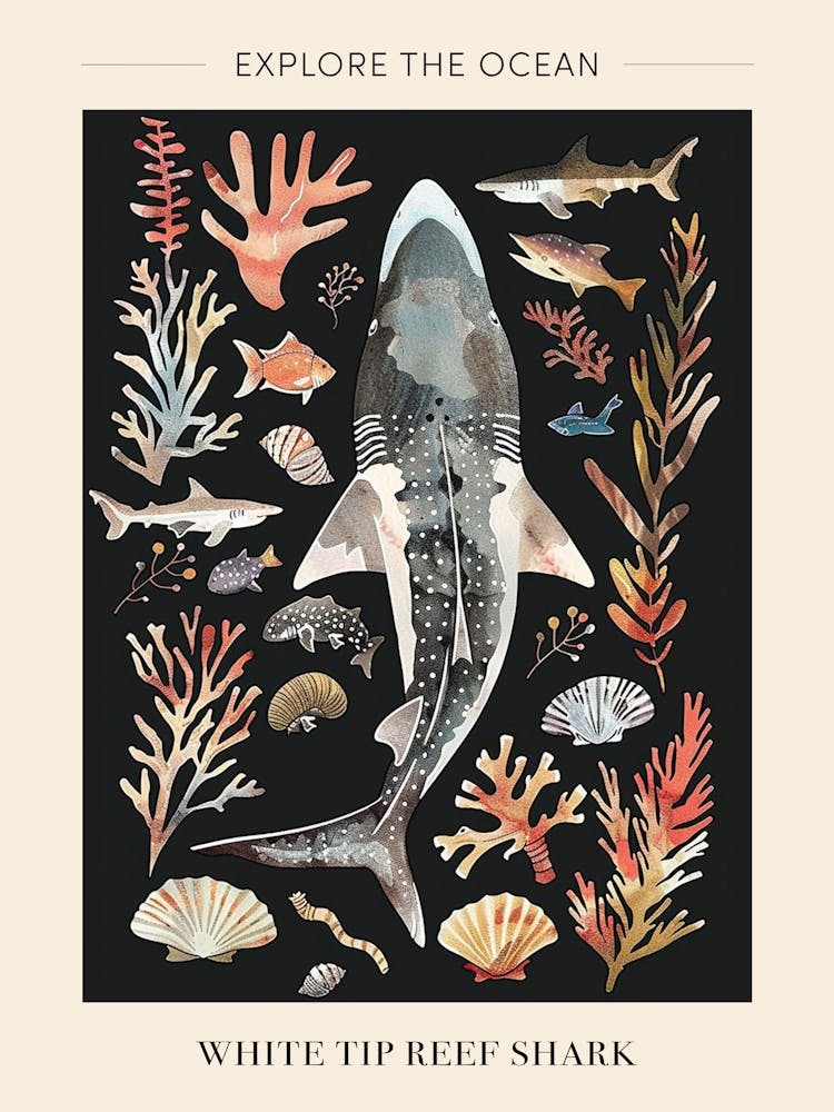 White Tip Reef Shark Seascape Black Background Illustration 2 Poster