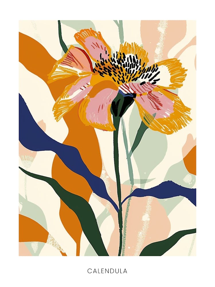Colourful Flower Illustration Poster Calendula 4
