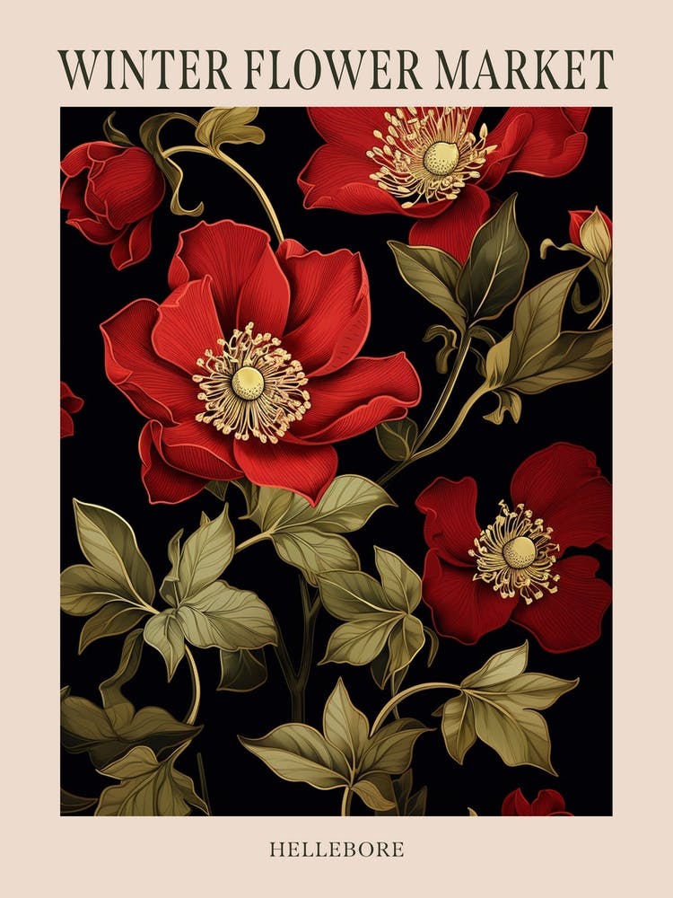 Hellebore 3 Winter Flower Market Poster