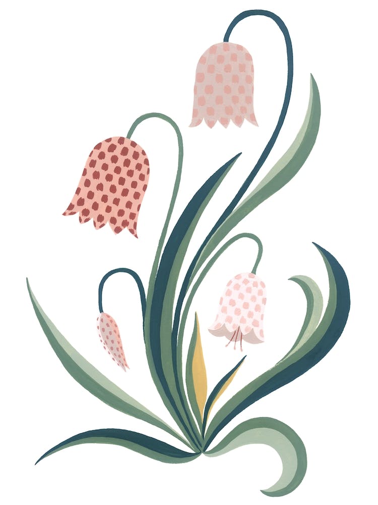 Wild Pink Chess Flower Botanical Painting