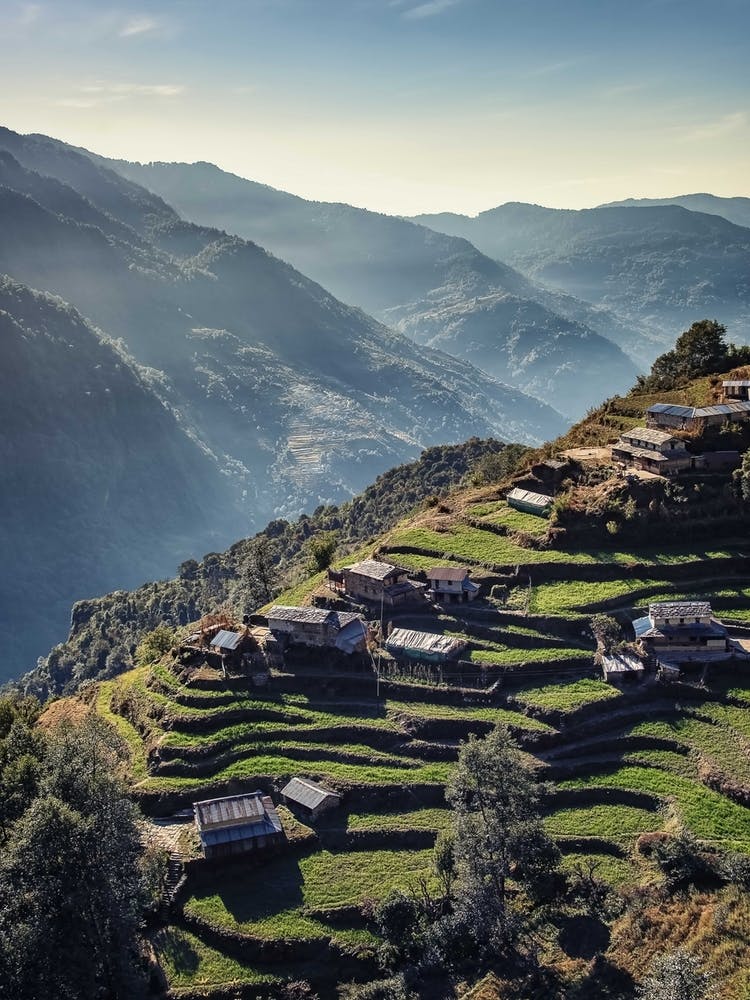 Terraces