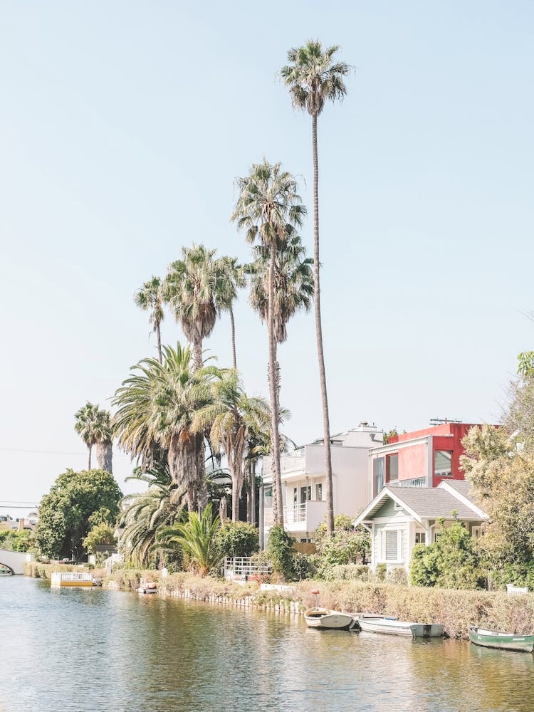 Los Angeles, USA I Californian architecture style house photography along Venice canals beach and palm trees in the retro vintage midcentury aesthetic of a wild natural savage seaside coastal home sweet home