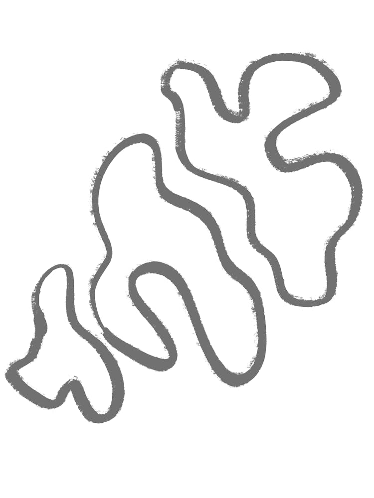 Drawing Of A Turtle
