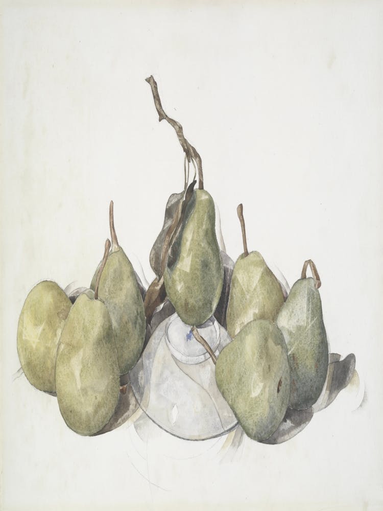 Pears In A Vase