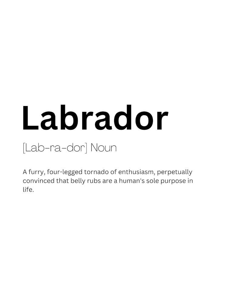 Labrador Definition Meaning