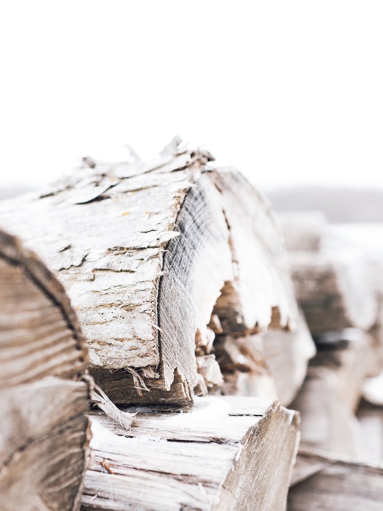 Winter Wood Log
