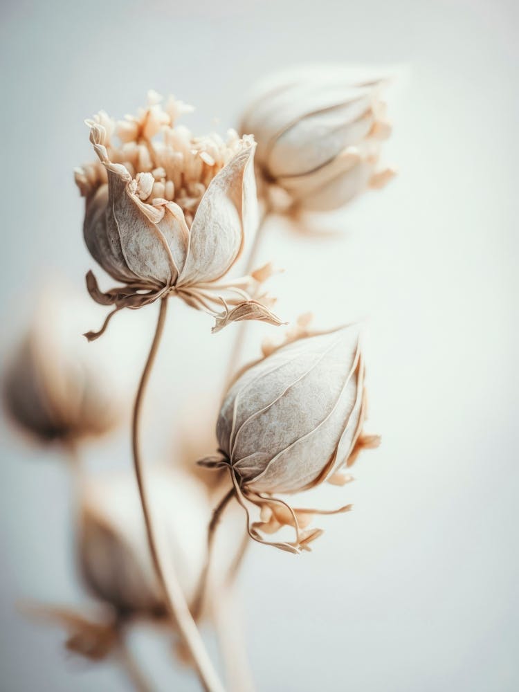 Beige Felt Flowers