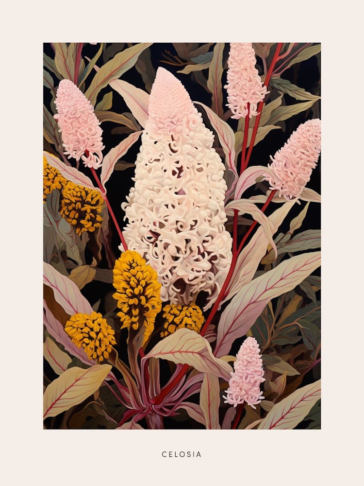 Flower Illustration Celosia 2 Poster