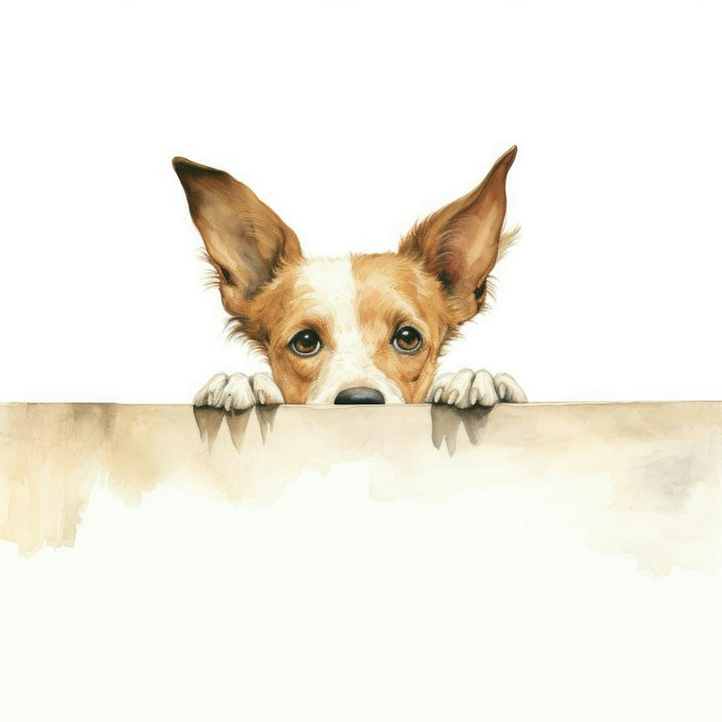 Chihuahua Dog 8