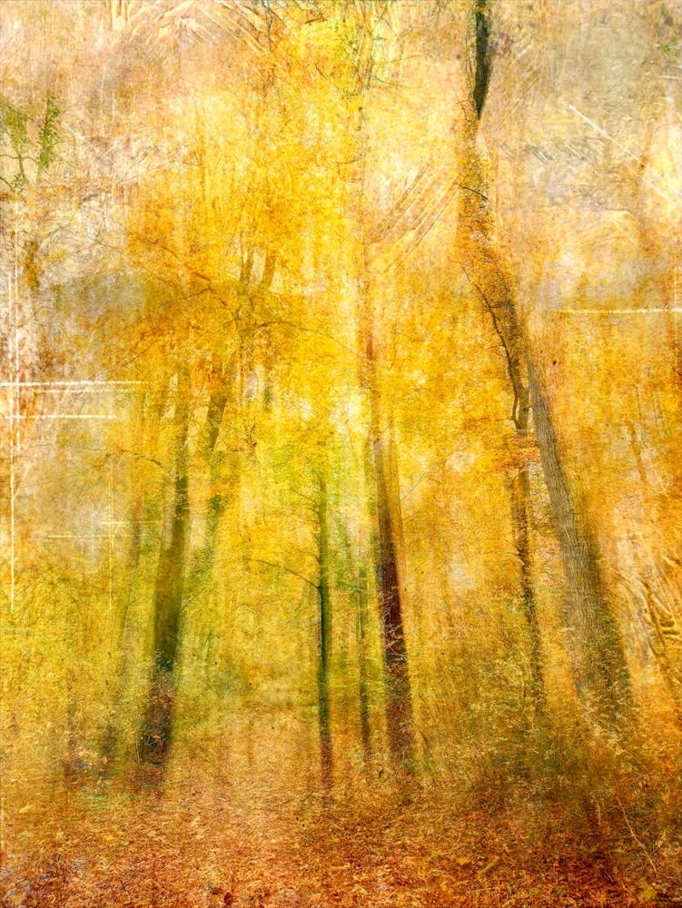 Autumn Abstraction