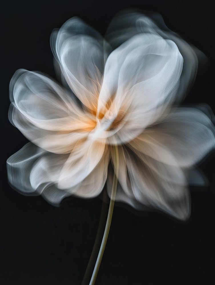 Flower In Motion 2