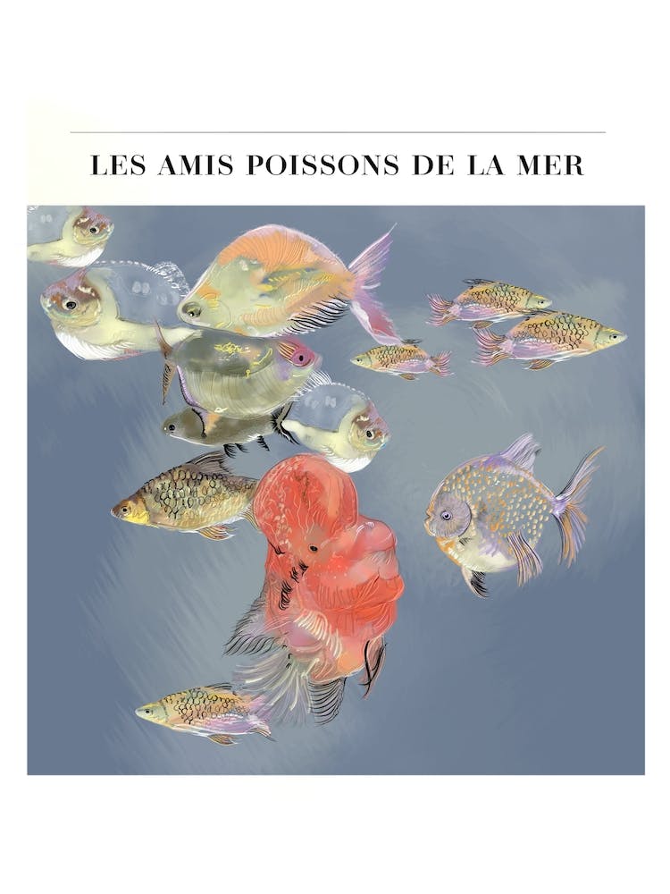 The Fish Friends of the Ocean