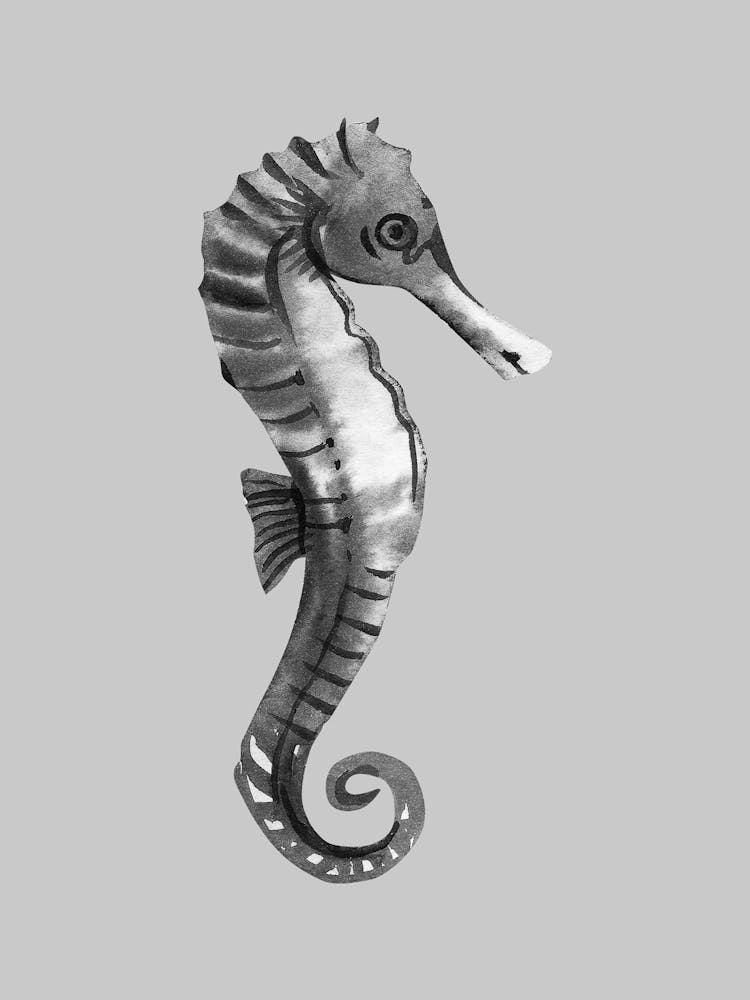Seahorse