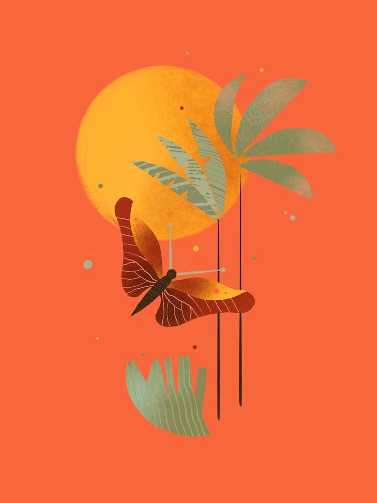 Butterfly In The Sun