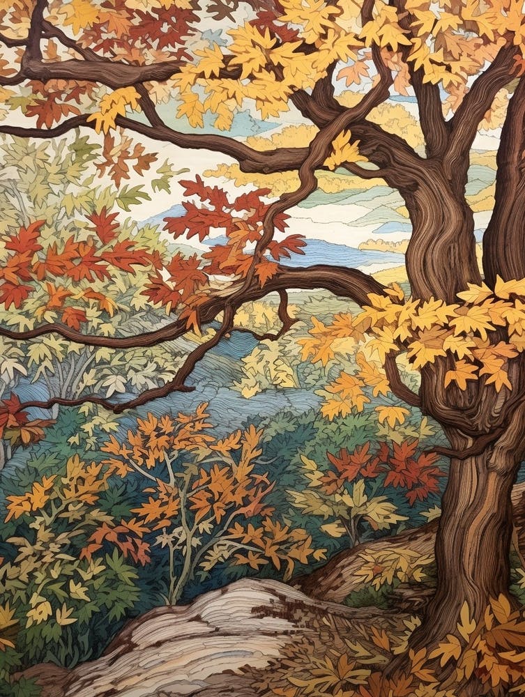 American Sycamore 1 Vintage Autumn Tree Print 