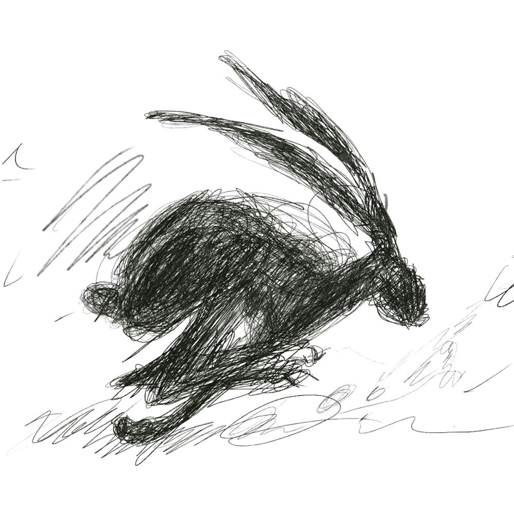 Hare Running