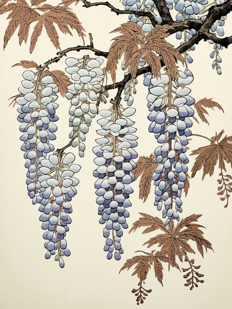 Fuji Wisteria 2 Vintage Japanese Botanical