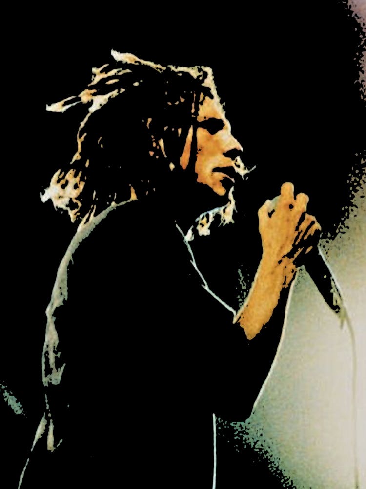 Zack de la Rocha Rage Against The Machine 3