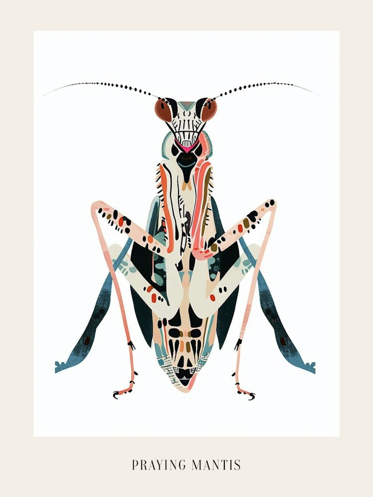 Colourful Insect Illustration Praying Mantis 14 Poster
