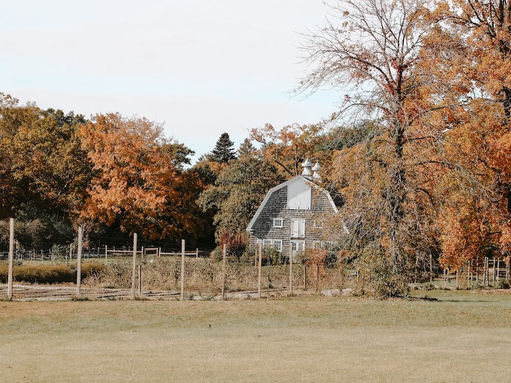 Autumn Barn Garden