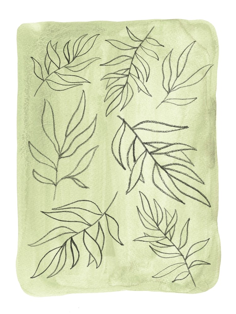 Watercolor Leaf Drawing