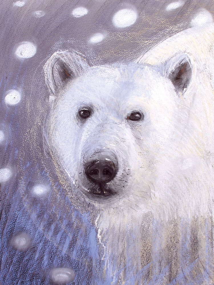 Polar Bear