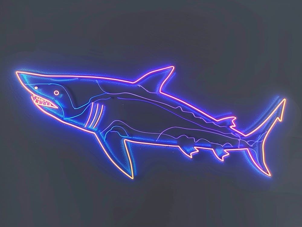 Neon Sign Inspired Shark 1