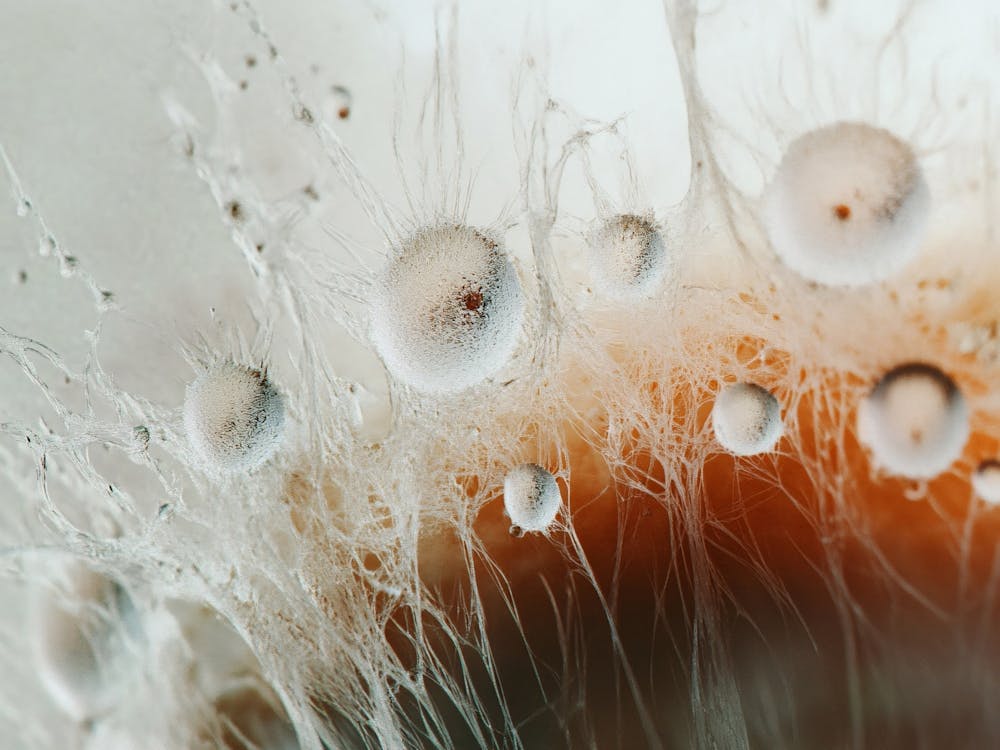 Close Up Of Water Droplets