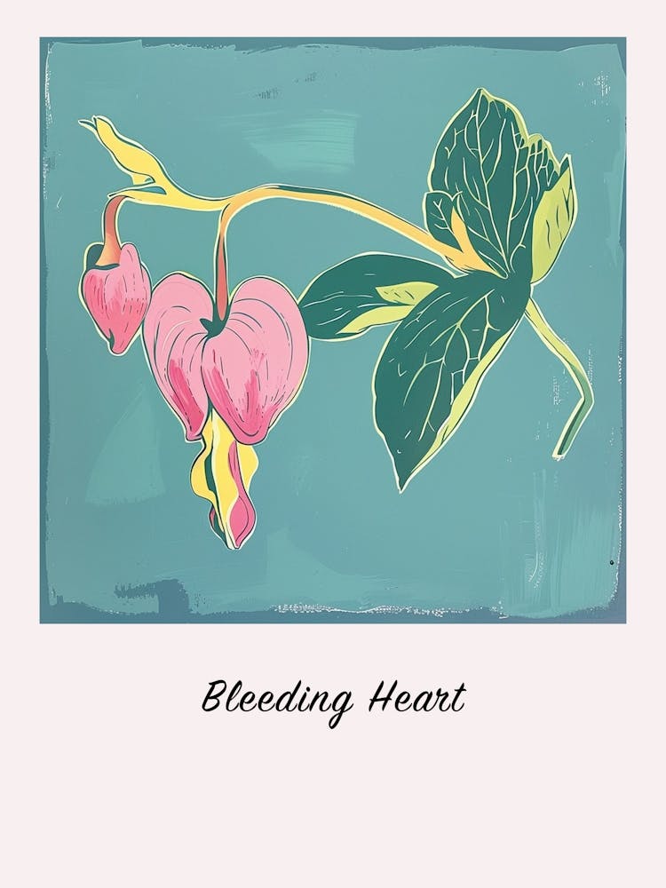 Bleeding Heart Square Flower Illustration Poster