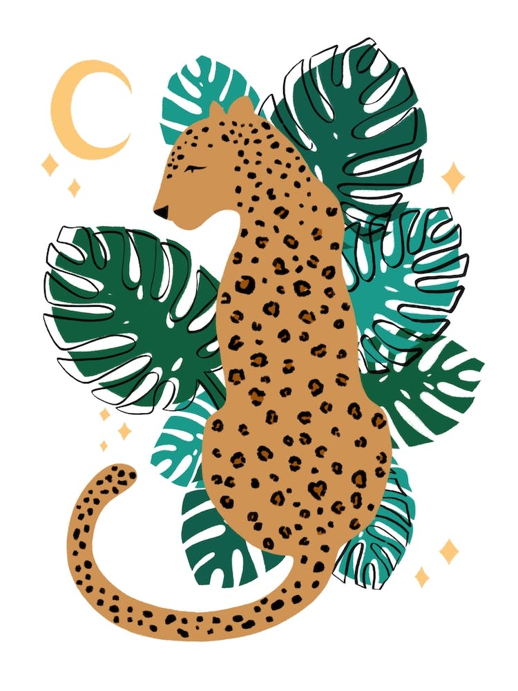 Leopard Leaf