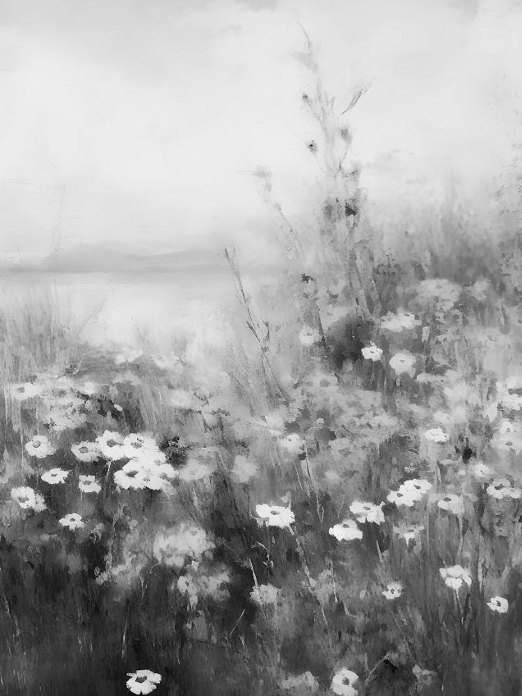 Daisy Field 1