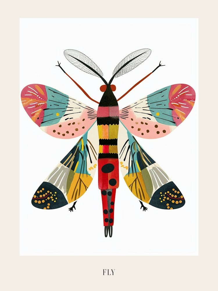 Colourful Insect Illustration Fly 9 Poster