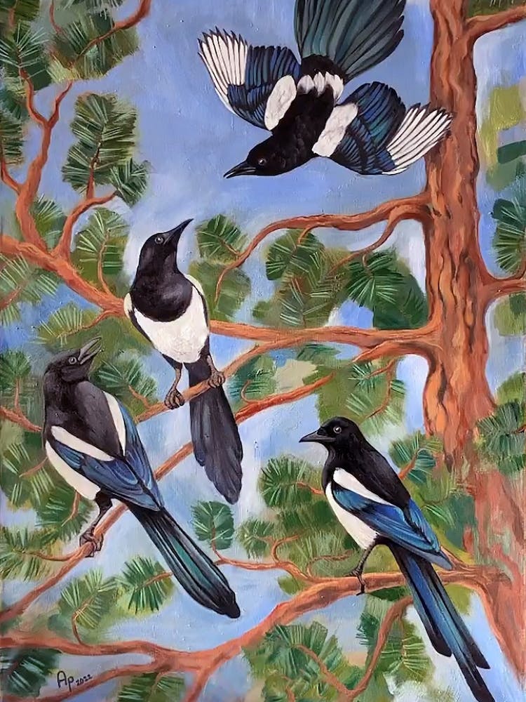 Magpies In The Tree