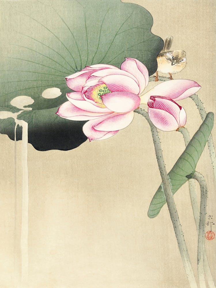 Songbird And Lotus (1900 1936), Ohara Koson