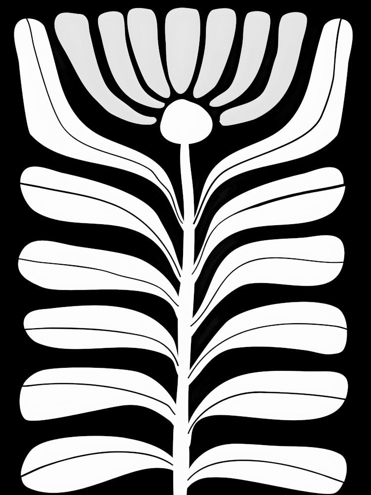 Lily Of The Valley 8