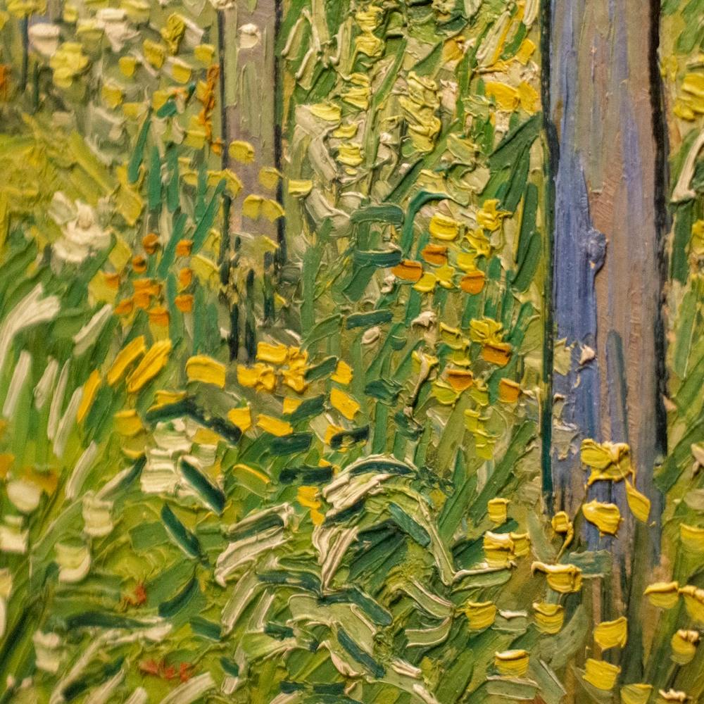 Vincent Van Gogh 3