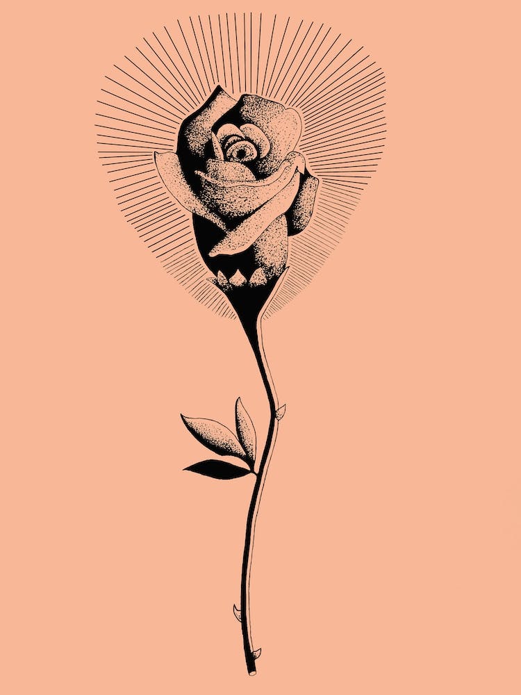Rose