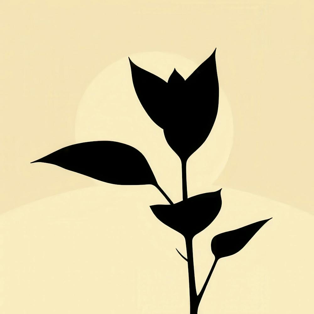 Silhouette Of A Plant