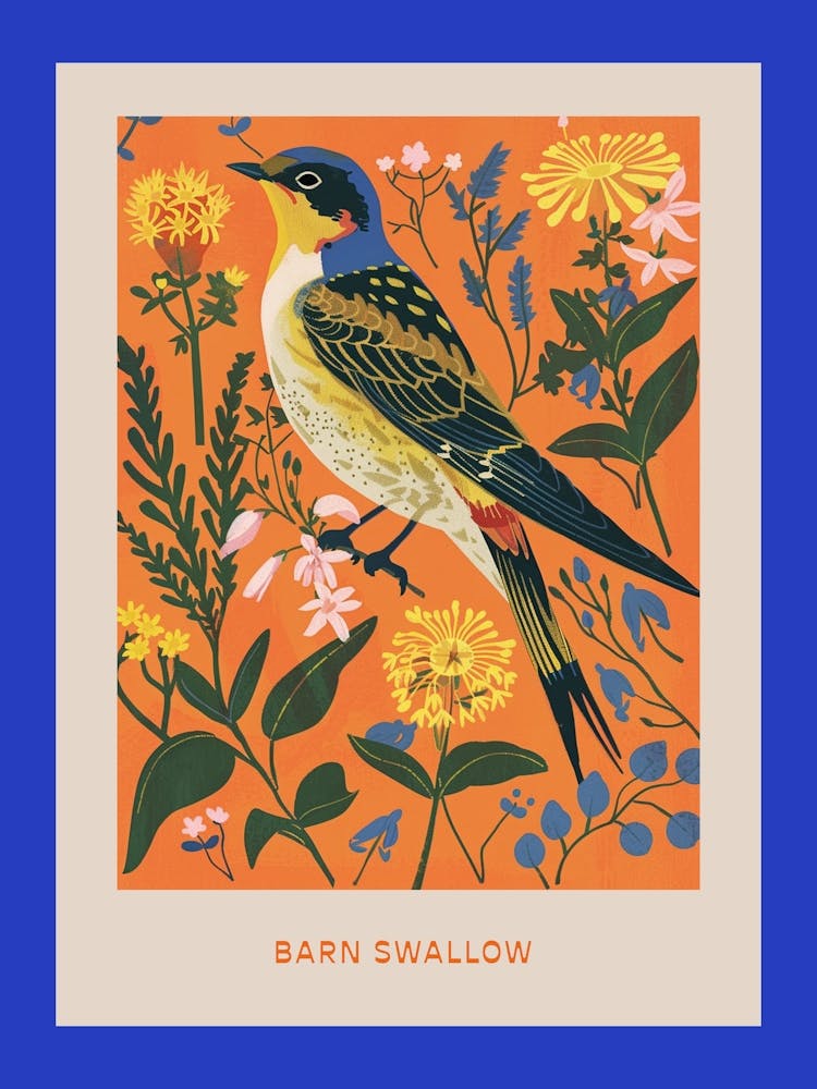 Spring Birds Poster Barn Swallow 2