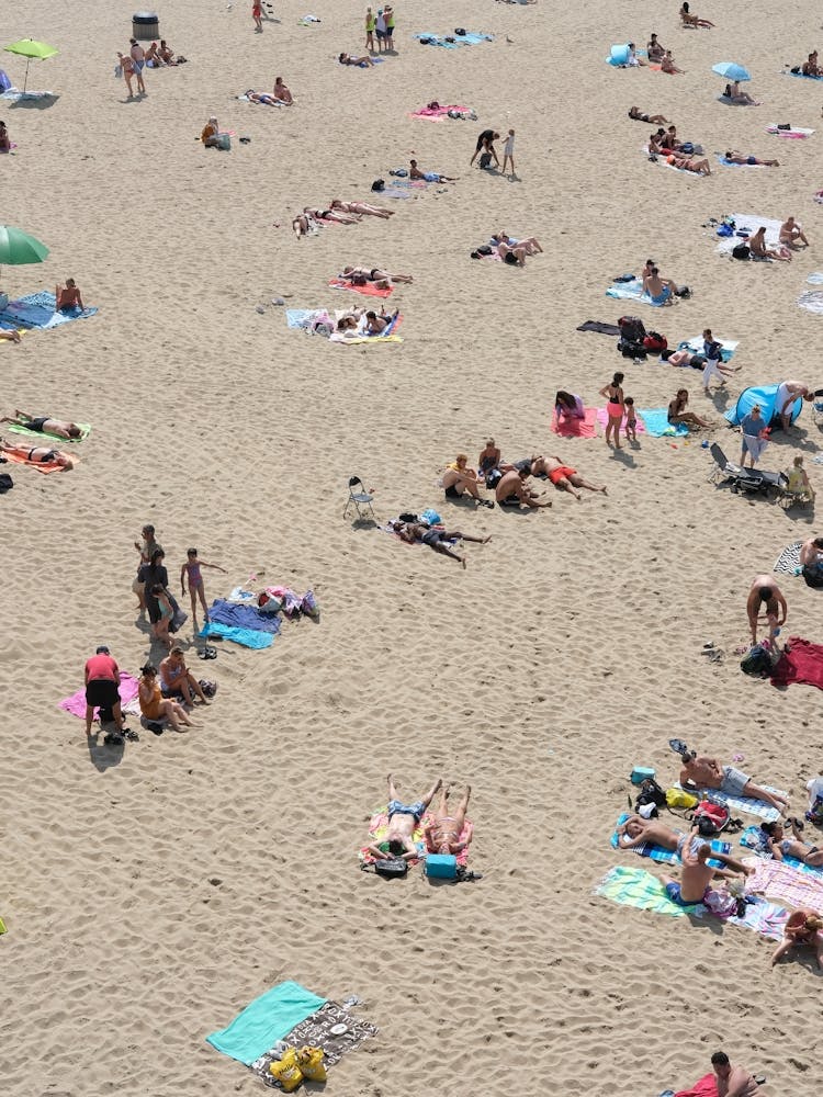 Summer Business Scheveningen