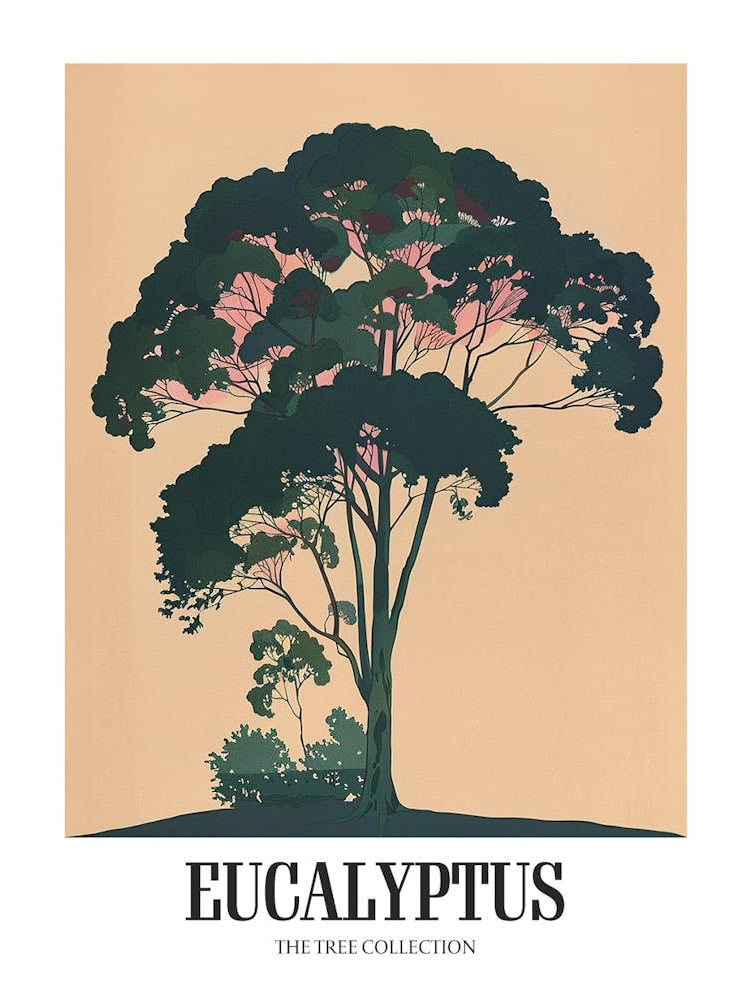 Eucalyptus Tree Colourful Illustration 3 Poster