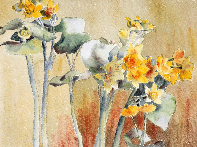 Orange Flower Without Margin (1915), Hannah Borger Overbeck