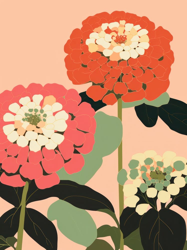 Zinnias Flower Big Bold Illustration 2