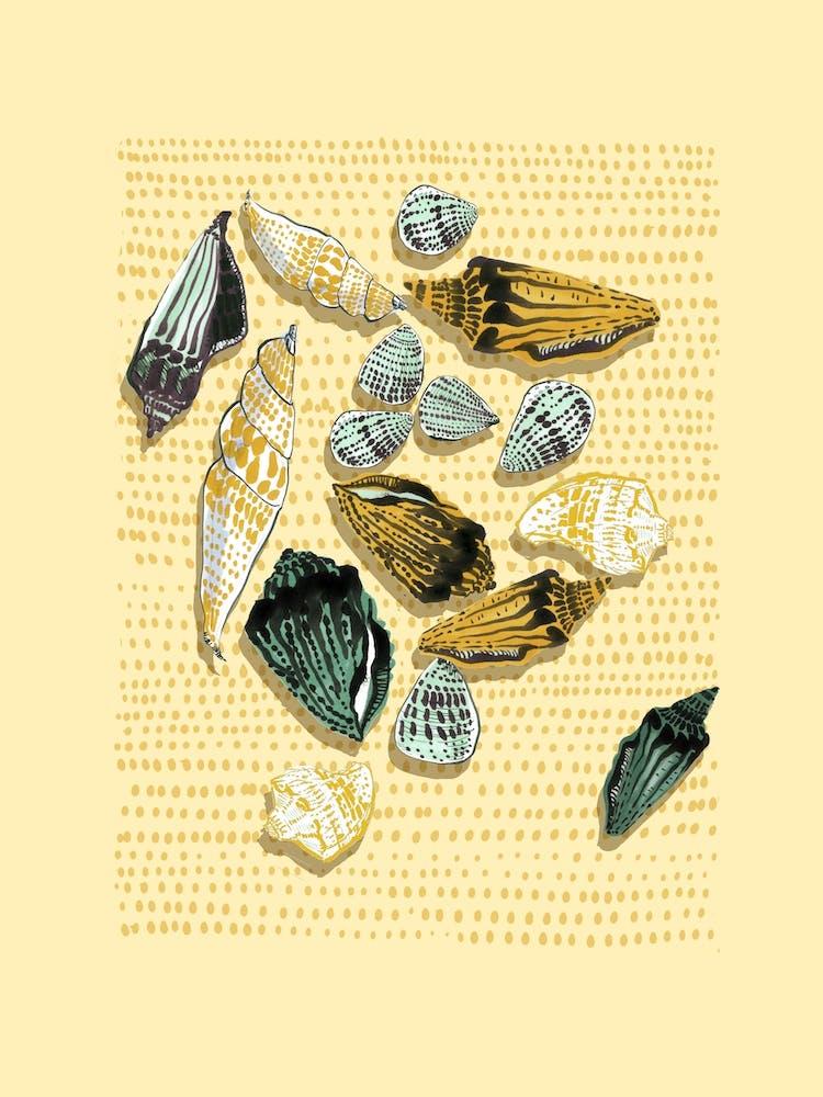 Shells In Yellow Tones