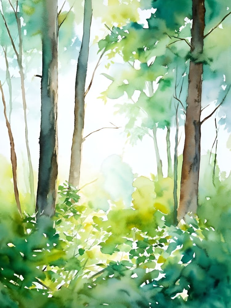 Watercolor Of A Forest 6