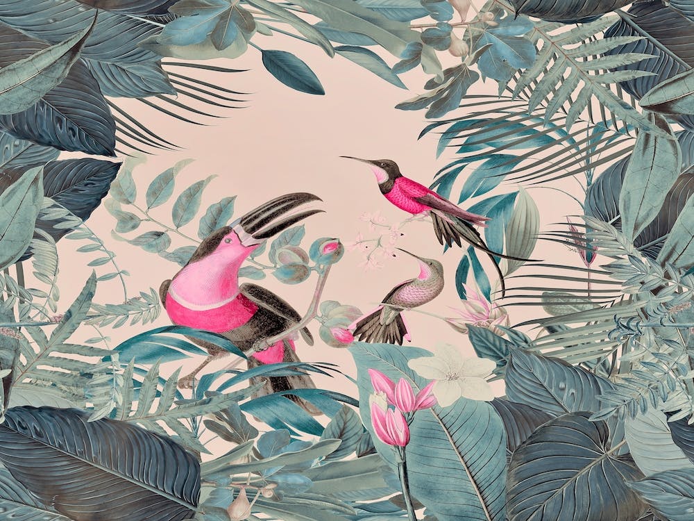 Pink Tropical Toucans