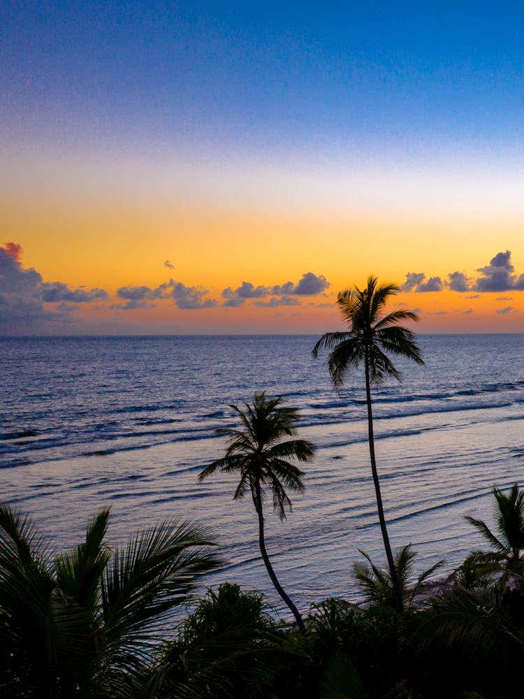 Sunset At The Beach 34